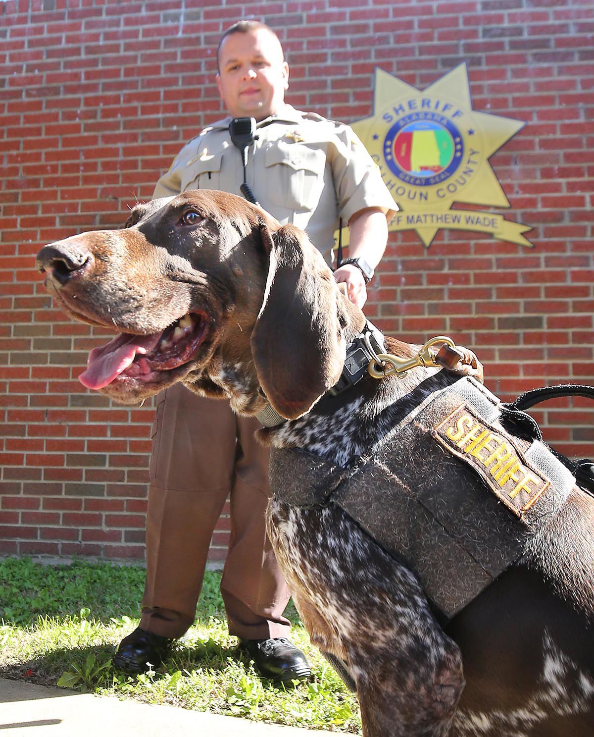 Calhoun County K 9s